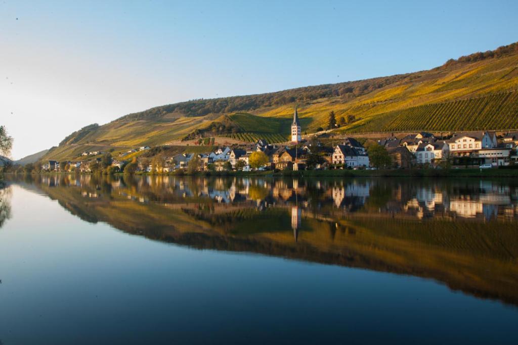 Das Haus In Spay An Der Mosel Mit Sauna Zell an der Mosel Exterior photo
