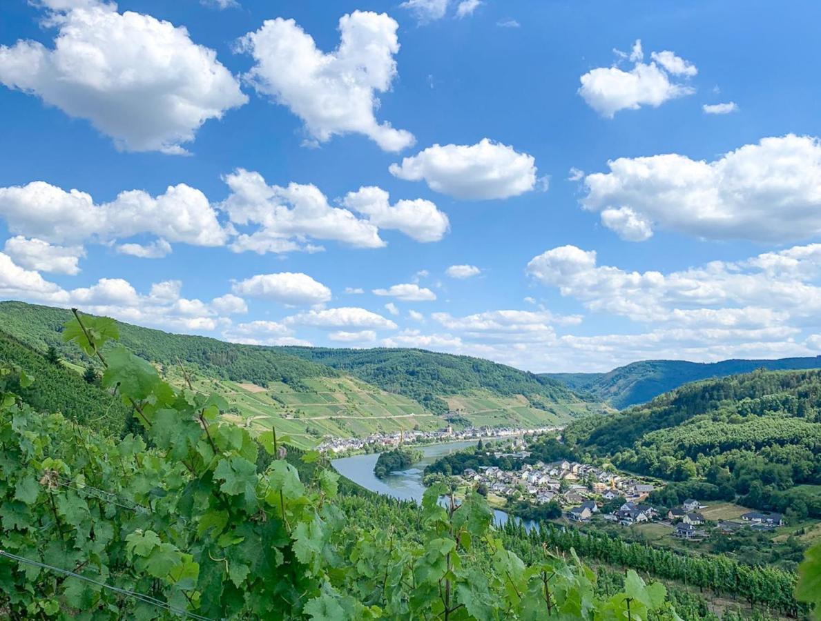 Das Haus In Spay An Der Mosel Mit Sauna Zell an der Mosel Exterior photo